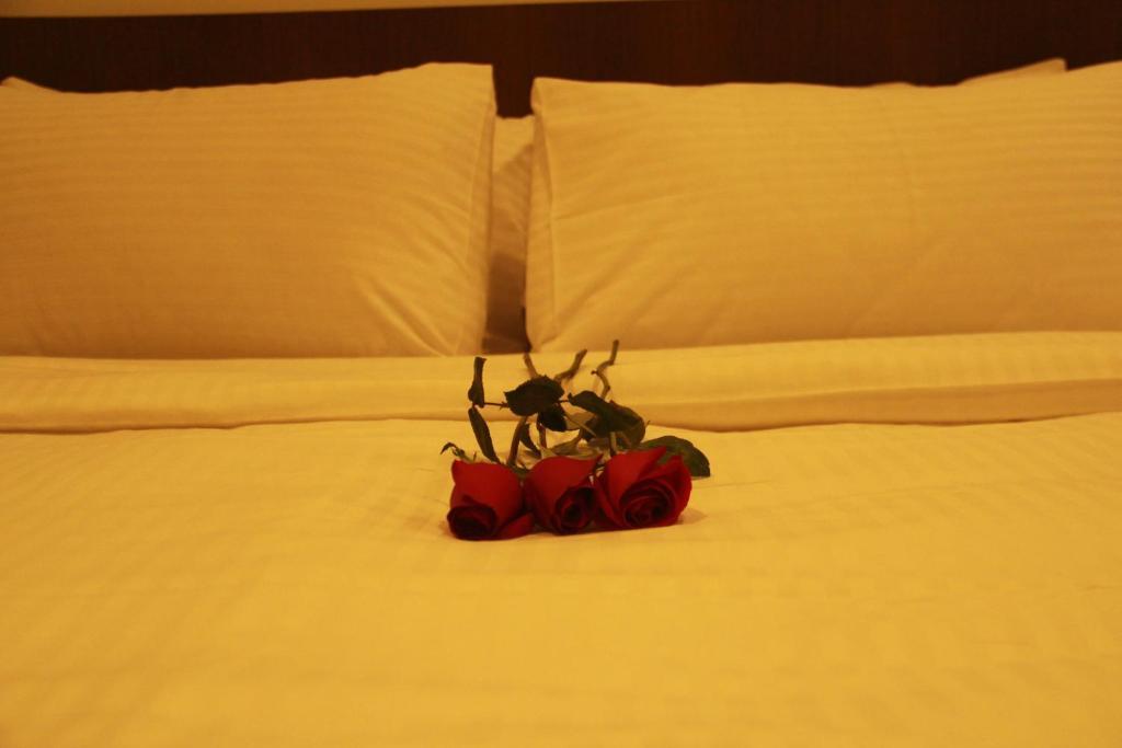 Cove D'arena Khách sạn hẻo lánh 3*